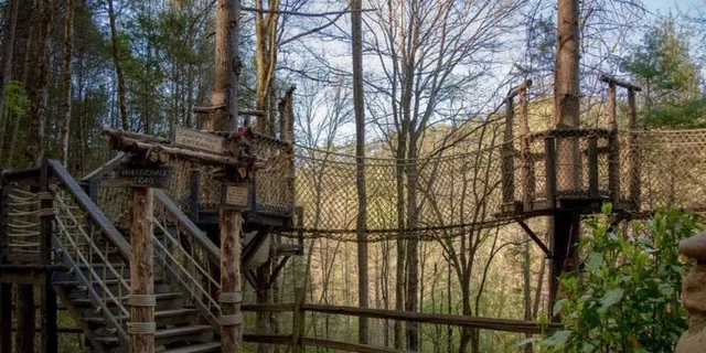 Sevierville Hiking & Swinging Bridge Adventure - Image 2