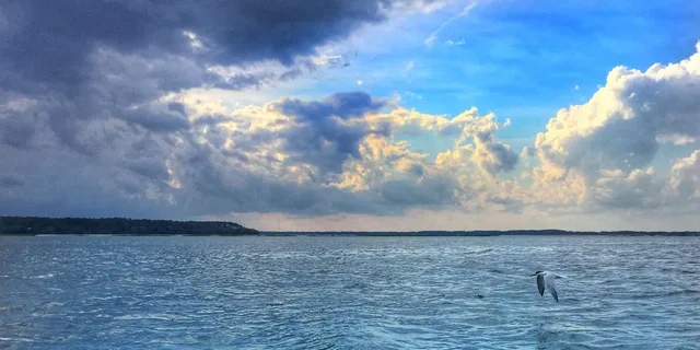 Hilton Head Dolphin Cruise at Sunset 2 hr - Image 2