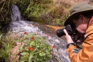 Park City Photo Workshop in Wasatch Mountains thumbnail 5