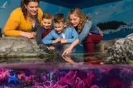 Charlotte Aquarium Admission thumbnail 5