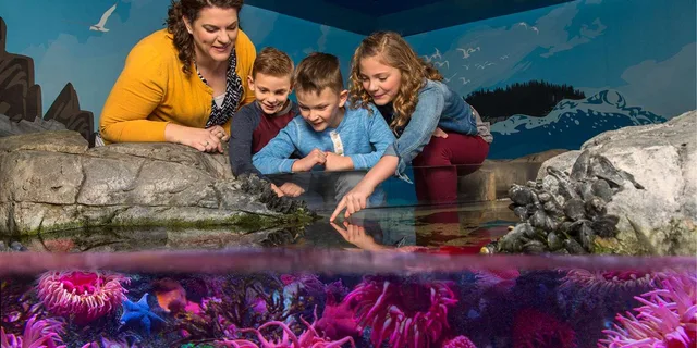 Charlotte Aquarium Admission - Image 5