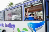 Waikiki Pearl Harbor Trolley Shuttle thumbnail 3