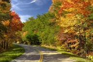 Pigeon Forge Foothills Parkway Jeep Tour 2.5 hr thumbnail 6