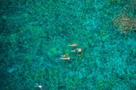 Kona Morning Snorkel Captain Cook & Kealakekua Bay thumbnail 5