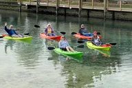 Crystal River Single Kayak Rental thumbnail 6
