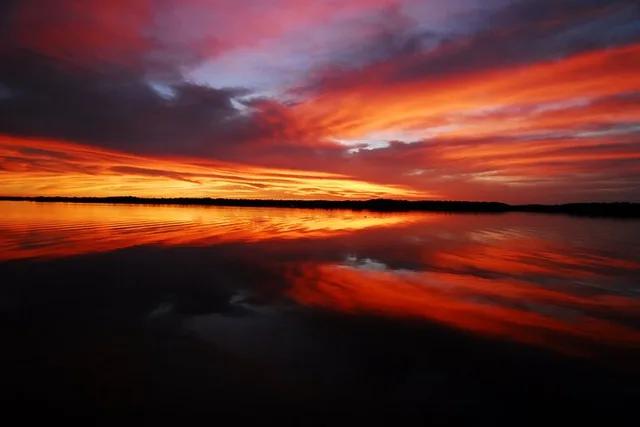 Everglades Photo and Birding Boat Safari - Image 3