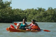 Naples Mangrove Kayak Tour thumbnail 4