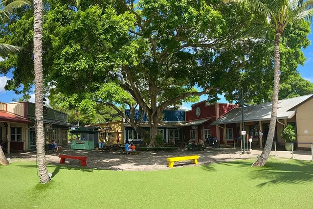 Oahu North Shore Shuttle Tour - Image 6
