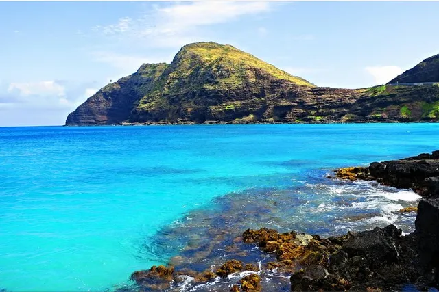 Oahu Volcano and Beaches Tour in Spanish - Image 6