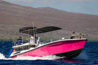 Lahaina Whale Watching Tour 2 hr thumbnail 4