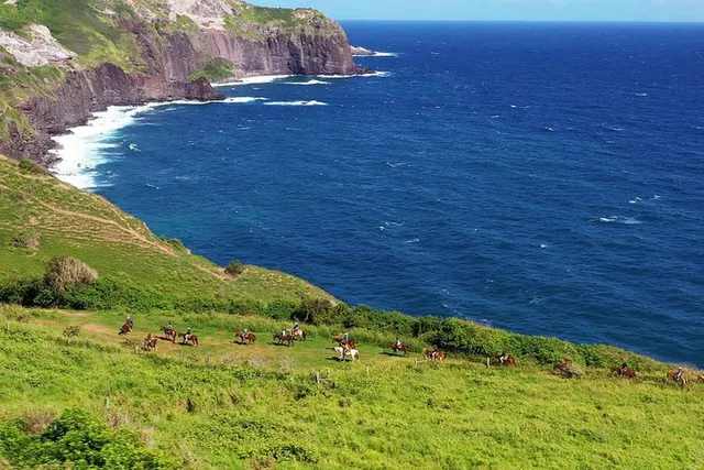 Maui Horseback Adventure at Circle M Ranch - Image 3
