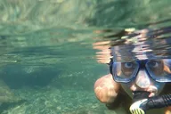 Destin Catamaran and Snorkeling Tour 3 hr thumbnail 5