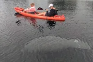 Crystal River Tandem Kayak Rental thumbnail 2