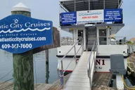 Atlantic City Dolphin Watching Ocean Cruise thumbnail 6
