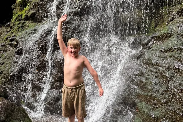 Oahu Waterfall Hike with Pickup - Image 6