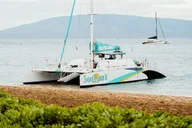 Ka'anapali Beach Snorkel and Turtle Spotting 3.5 hr thumbnail 4