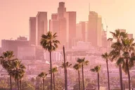 Los Angeles Private Airport Transfer thumbnail 5