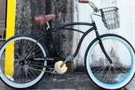 New Orleans Creole History and Culture Bike Ride thumbnail 6