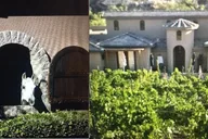 Arizona Horse Country Vineyard Wine Tour thumbnail 4