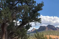 Sedona Vortex Jeep Tour thumbnail 4