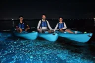 Brady Yaks Kayak Tour in Bioluminescent Waters thumbnail 1
