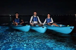 Brady Yaks Kayak Tour in Bioluminescent Waters