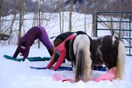 Yoga with Horses 90 min thumbnail 3