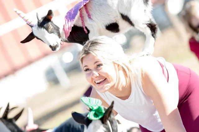 Arizona Goat and Alpaca Yoga - Image 1