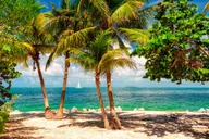 Fort Lauderdale to Key West Day Trip thumbnail 5