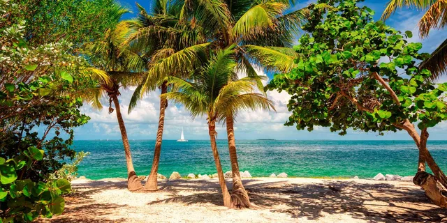 Fort Lauderdale to Key West Day Trip - Image 5