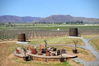 Valle de Guadalupe Private Driver and Vehicle 10 hr
