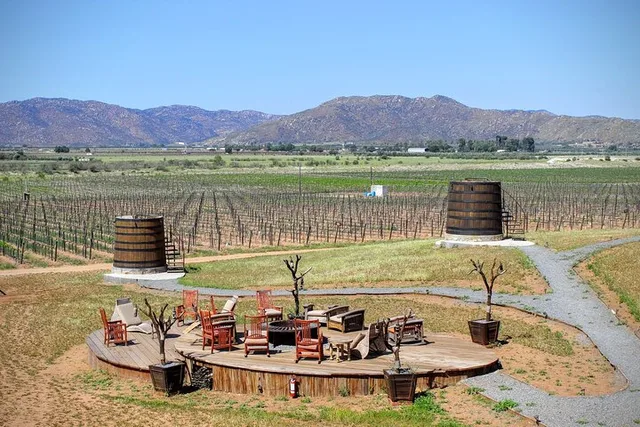 Valle de Guadalupe Private Driver and Vehicle 10 hr - Image 1