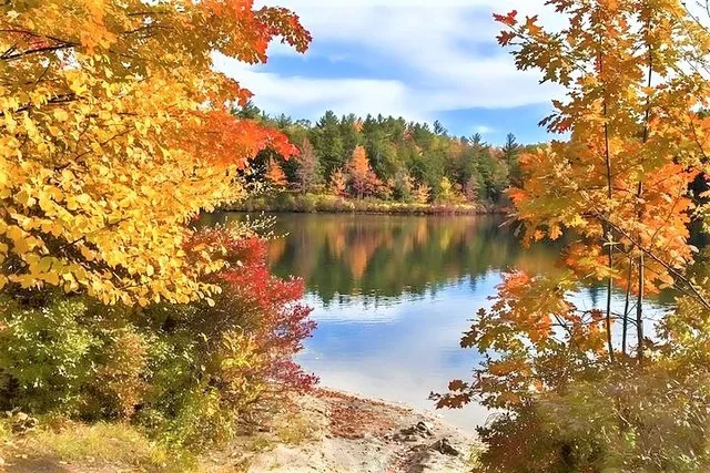 Boston Fall Foliage White Mountains Day Trip - Image 4