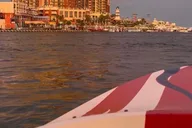 Destin Dolphin Spotting Ride thumbnail 6