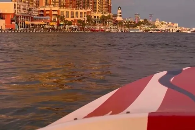 Destin Dolphin Spotting Ride - Image 6