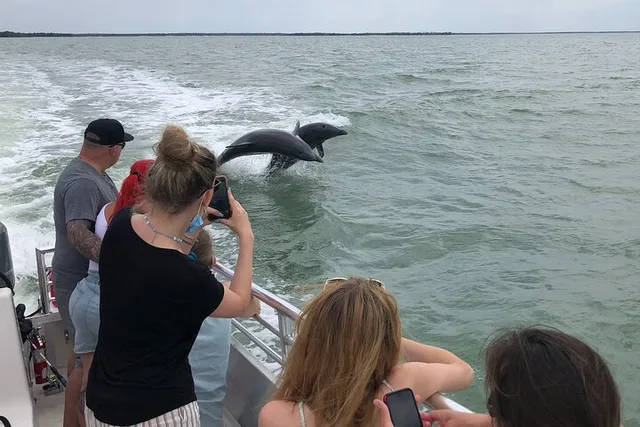 10,000 Islands Dolphin & Shelling Boat Tour 3.5 hr - Image 3