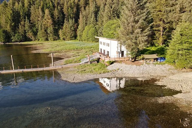 Sitka Bear and Silver Bay Homestead Tour - Image 5