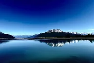 Anchorage Wildlife Sanctuary and Glacier Hike thumbnail 6
