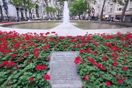 New York City Financial District Walking Tour thumbnail 4