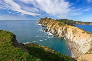 San Francisco Point Reyes and Muir Woods Tour