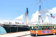San Diego Hop-on Hop-off Trolley Tour thumbnail 6