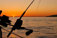 Fairbanks Fishing Trip with Hotel Pickup 3.5 hr thumbnail 1