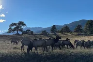 Rocky Mountain Bear Lake Corridor Tour thumbnail 5