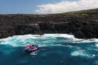 Kona Private Snorkeling Tour with Lunch thumbnail 4
