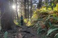 Cannon Beach Hiking Tour on the Oregon Coast thumbnail 3