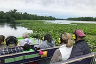 Saint Augustine Airboat Tour with Guide 90 min thumbnail 5