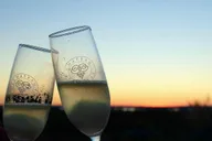 Traverse City Wine Tour with Champagne Bubbly thumbnail 1