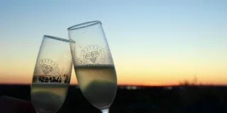 Traverse City Wine Tour with Champagne Bubbly