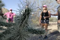 Scottsdale Day Hiking Tour thumbnail 3