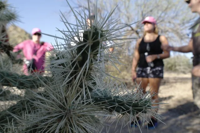 Scottsdale Day Hiking Tour - Image 3
